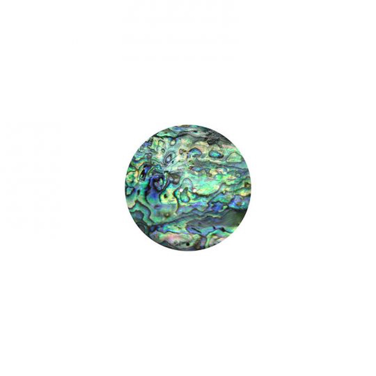 Paua Shell Disc -3/4", 2 Hole