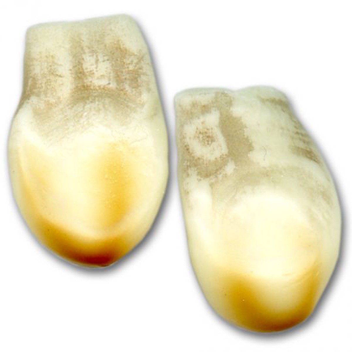Replica Elk Teeth - Singles